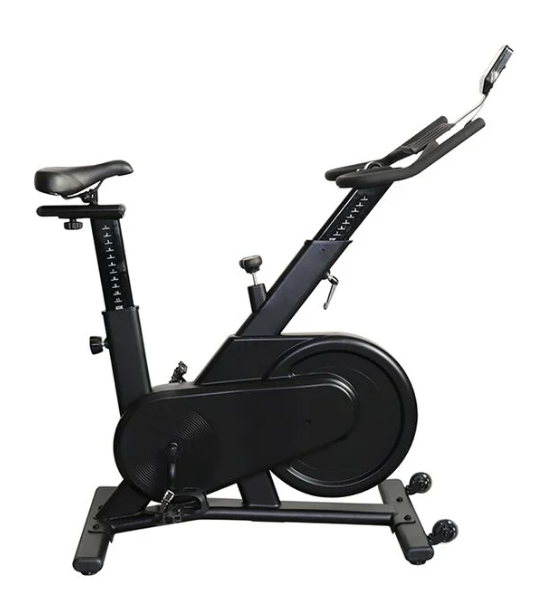 titan life bike magnetic